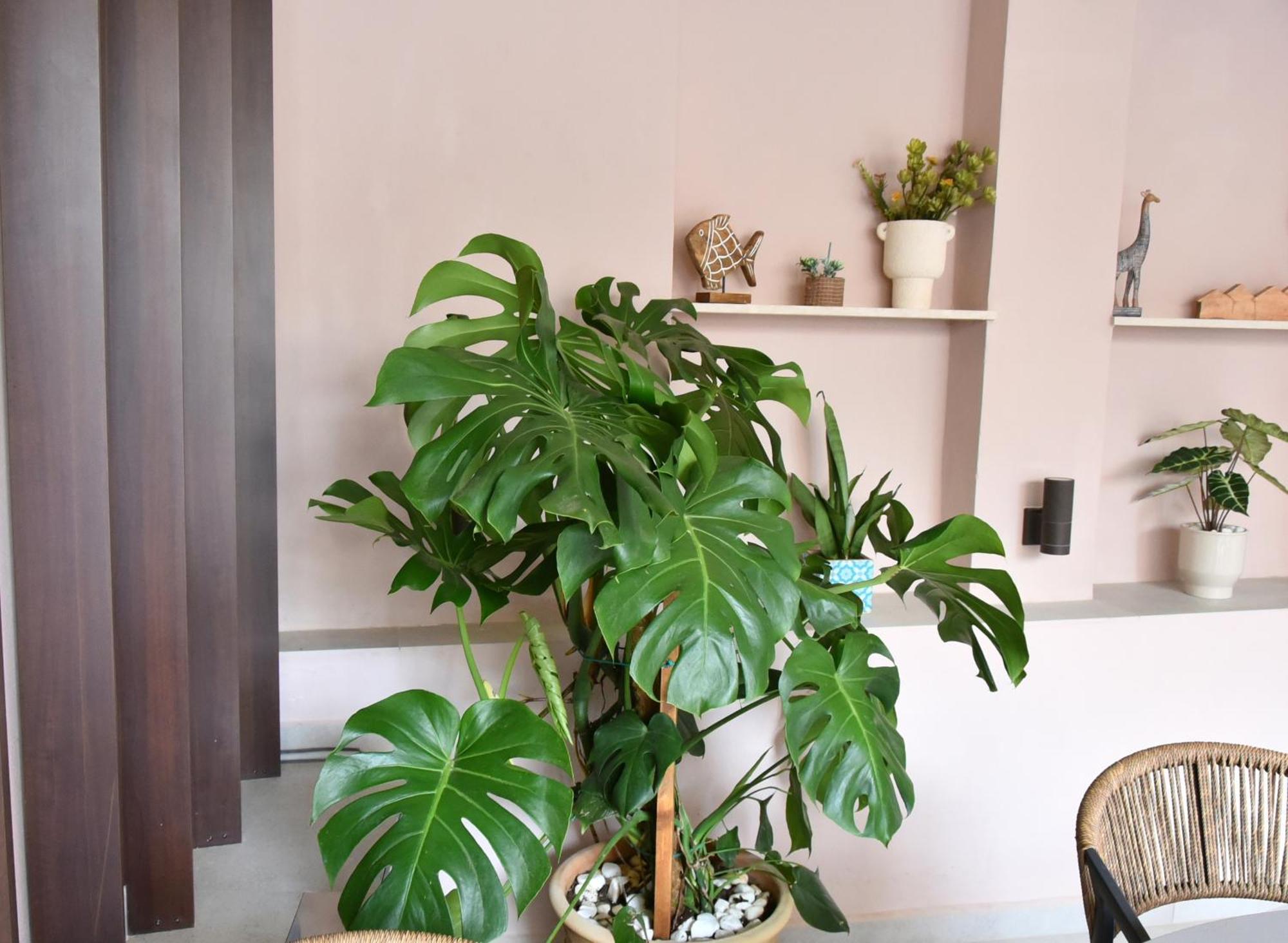 Casa Enetiko 호텔 하니아 외부 사진